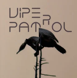 Pochette Viper Patrol - What Is (Original Mix)