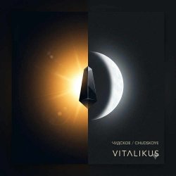 Pochette ViTaLiKuS - Чудское (Chudskoye) (Original Chill Mix)