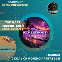 Pochette TMGrom - Сколько можно прятаться (soundhunter.pro)