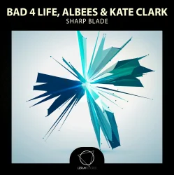 Pochette Bad 4 Life - The Art Of Falling In Love