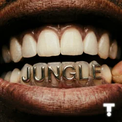 Pochette TroyBoi & Shiwa - Jungle
