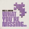 Pochette BCee & Javeon - What You're Missing BCee & Javeon - What You're Missing