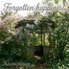 Калымщик - Forgotten happiness