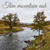 Pochette Калымщик - Thin mountain ash Калымщик - Thin mountain ash