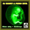 Pochette DJ Maury & Piero Zeta - Embryo DJ Maury & Piero Zeta - Embryo