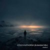 Pochette ViTaLiKuS - COLD EUPHORIA (Extended Mix) ViTaLiKuS - COLD EUPHORIA (Extended Mix)