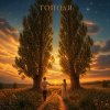 Pochette Марсель Давлетов - Тополя Марсель Давлетов - Тополя