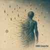 Pochette ViTaLiKuS - SONDER (Extended Mix) ViTaLiKuS - SONDER (Extended Mix)