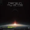 Pochette Armin van Buuren & Silver Panda - Here In My Arms (Enjoy The Silence) Armin van Buuren & Silver Panda - Here In My Arms (Enjoy The Silence)
