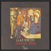 Steeleye Span - Gaudete