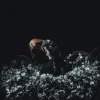 Pochette Kami Kehoe - THE END Kami Kehoe - THE END