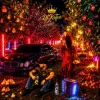 Pochette DJ KAIFAR - В садах DJ KAIFAR - В садах