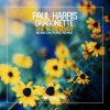 Pochette Paul Harris, Dragonette - One Night Lover (Nora En Pure Instrumental Club Mix) Paul Harris, Dragonette - One Night Lover (Nora En Pure Instrumental Club Mix)