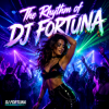 Pochette DJ FORTUNA - The Rhythm of DJ FORTUNA DJ FORTUNA - The Rhythm of DJ FORTUNA