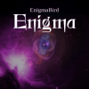 Pochette EnigmaBird - Enigma EnigmaBird - Enigma