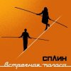 Сплин - Когда пройдет 100 лет