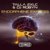Pochette Talla 2XLC & DJ Robyn - Endorphene Express (Extended Mix) Talla 2XLC & DJ Robyn - Endorphene Express (Extended Mix)