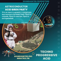 Pochette Astroconductor - Acid Birds Party