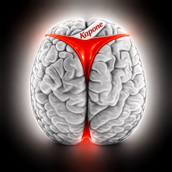 Pochette Brains 5 [2019]
