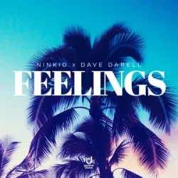 Pochette Ninkid & Dave Darell - Feelings