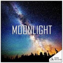 Pochette PRIMAXS - Moonlight