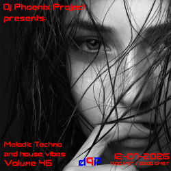 Pochette [MT&HV46]Melodic Techno&House Vibes vol.46