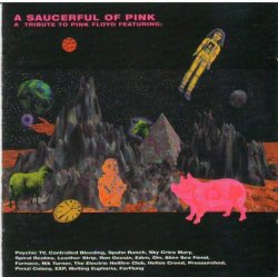 Pochette Spahn Ranch - One of These Days