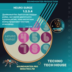 Pochette NEURO SURGE - 1.2.3.4