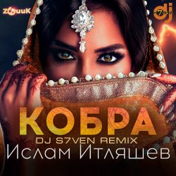 Pochette Кобра (DJ S7ven Radio Edit)