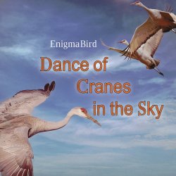 Pochette Dance of Cranes in the Sky
