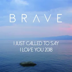 Pochette Brave - I Just Called To Say I Love You