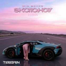 Pochette Экспонат (TARABRIN Radio Remix)
