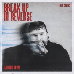Pochette Teddy Swims - Break Up in Reverse (Dj Dark Remix)
