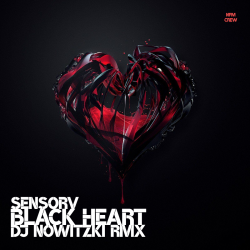Pochette Black Heart (DJ Nowitzki Remix)