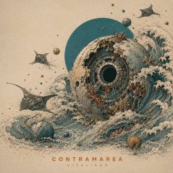 ViTaLiKuS - Contramarea