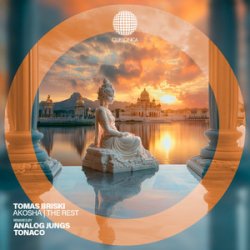 Pochette Tomas Briski - Mirrors on the Ceiling