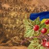 Pochette Червона калина - Ой служив же я у пана Червона калина - Ой служив же я у пана
