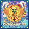Pochette Drukverdeler & DJ Bim - Icarus (Original Mix) Drukverdeler & DJ Bim - Icarus (Original Mix)