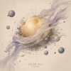 Pochette ViTaLiKuS - Solar Veil ViTaLiKuS - Solar Veil