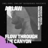 Pochette ARLAW - Flow Through The Canyon (VegaZ SL Remix) ARLAW - Flow Through The Canyon (VegaZ SL Remix)