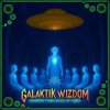 Pochette Galaktik Wizdom - Modlarton Galaktik Wizdom - Modlarton