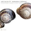 Pochette Joe Silva - Everyone Finds a Way 2025 Joe Silva - Everyone Finds a Way 2025