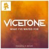 Pochette Vicetone feat. D. Brown - What I've Waited For (Original Mix) Vicetone feat. D. Brown - What I've Waited For (Original Mix)