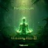 Pochette Hydronium - Hydronium Ion (Original Mix) Hydronium - Hydronium Ion (Original Mix)