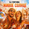 Pochette DJ FORTUNA - ЖИВОЕ СОЛНЦЕ DJ FORTUNA - ЖИВОЕ СОЛНЦЕ
