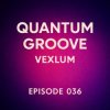 Pochette Vexlum - Quantum Groove 036 Vexlum - Quantum Groove 036
