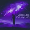 Pochette DJ Nowitzki - Voidglide DJ Nowitzki - Voidglide