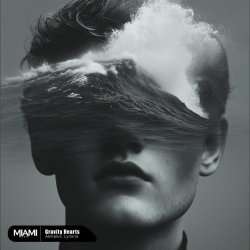 Pochette Akmalov, Lynoria - Gravity Hearts
