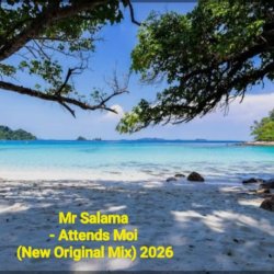 Pochette Mr Salama - Attends Moi (New Original Mix) 2026​