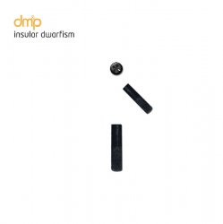 Pochette insular - Spurgeon (Original Mix)